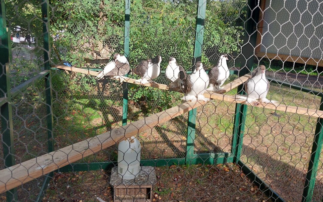 H3 unterstützt wieder Erlebnis Landmarkt am Jagdschloss Kranichstein